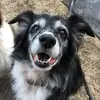 Ella Copeland - @ella.copeland6 - TikTok