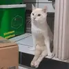 Ella - @ella.copeland333 - TikTok