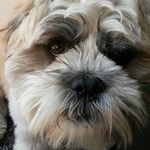 ella corcoran - @ellacorcoran123qw - Instagram