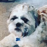 Ellacorcoran - @ellacorcoran7529 - Instagram