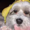 ellacorley - @ellacorley - TikTok
