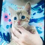 ella costello - @mclizzie6100 - Instagram