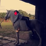 Ella - @ella_coutts_xo - Instagram