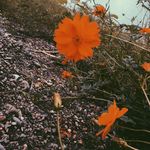 Ella Covington Photography - @elladelainphotography - Instagram