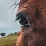 Ella Grace Cowan - @ella_cowan_ - Instagram