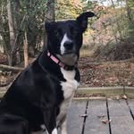 Ella Coyle - @ella__mozzarella - Instagram