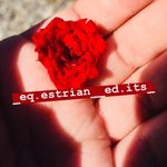 Ella Crocker - @_eq.estrian__ed.its_ - Instagram