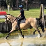 Ella crook eventing - @ella_crook_eventing - Instagram