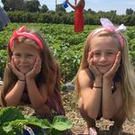 Ella - @ella_crouch24 - Instagram