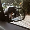 ellaacrow_ - @ella.crowleyy - TikTok