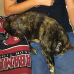 Bella Crowder - @crowderbella - Instagram