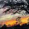 ella_crowder - @ella_crowder - TikTok