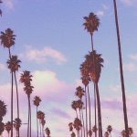 ↠ella crowe↞ - @ellacrowee - Instagram