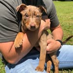 Ellie Mae Crumpler - @elliemae_crumpler - Instagram