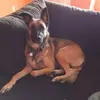 Eli Cutler - @eli.cutler2 - TikTok