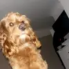 ella dale - @ella.dale58 - TikTok