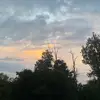 ella - @elladavidson.45 - TikTok
