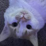 Ella - @ella.dean_ - Instagram