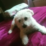 Ella_Deane💞 - @ella2008milly - Instagram