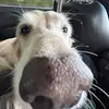 Ella - @ella_deane - TikTok