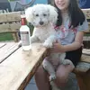 ella - @elladeane123 - TikTok