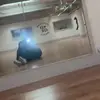 ella - @elladeanee1 - TikTok
