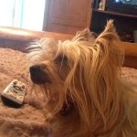 @ella_belle_grace_deaton - Instagram