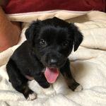 Ella - @ella_deaton_ - Instagram