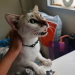 Ella Delgado - @notkatetudtud - Instagram