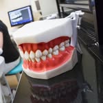 Ella - @elladentistry - Instagram