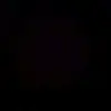elladevlin12 - @hamster_dontexsist100 - TikTok