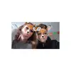 Eleanor - @elladexter - TikTok