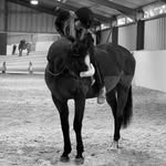Ella-May and Dexter 🐴🐴 - @ella_dexterr - Instagram