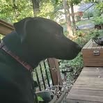 Ella Diggs - Facebook
