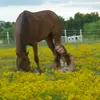 Ella - @elladoeshighschool - TikTok