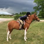 Ella Doerr - @onegoodpony - Instagram