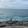Bella :) - @bella_donaldson - TikTok