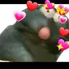 Ella Dow - @lil_spam_from_elladow - TikTok