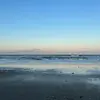 ella dows - @ella.dows - TikTok