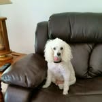 Ella Conley-Downing - @ella.downing.98 - Instagram