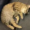 Ella_Downs22 - @ella_downs22 - TikTok