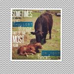 Ella Grace Downs - @edg_ella_grace_downs - Instagram