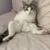 elladowns28 - @elladowns28 - TikTok