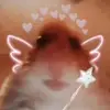 ella drew - @hoesandtoes6969 - TikTok