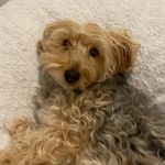 ella - @ellacdubose - Instagram