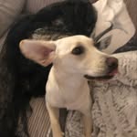 Ella - @ella._.duckmanton - Instagram