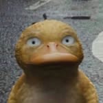 Ella Elliott - @ella_duck_quackquack - Instagram