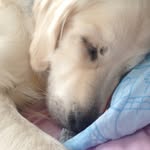 Ella Lynsey May Duckett - @ella_duckett79 - Instagram