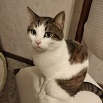 Ella_&_Duke - @ella__duke - Instagram