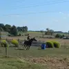 🐎🐴🎀Ella Durbin🎀🐴🐎 - @ella.durbin1 - TikTok